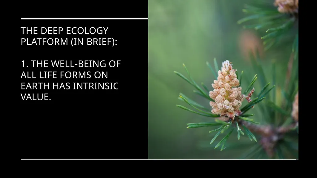 Chapter 6 Deep Ecology and Ecofeminism Two radical - slide 21 of 65