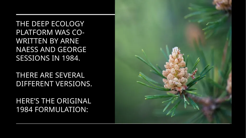 Chapter 6 Deep Ecology and Ecofeminism Two radical - slide 20 of 65