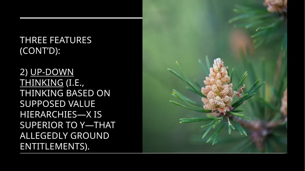 Chapter 6 Deep Ecology and Ecofeminism Two radical - slide 53 of 65