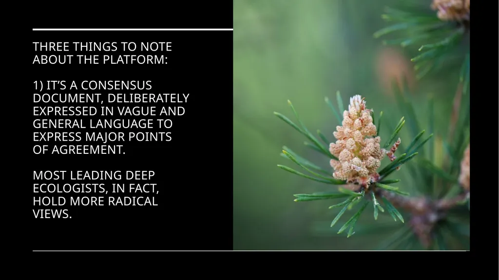 Chapter 6 Deep Ecology and Ecofeminism Two radical - slide 29 of 65