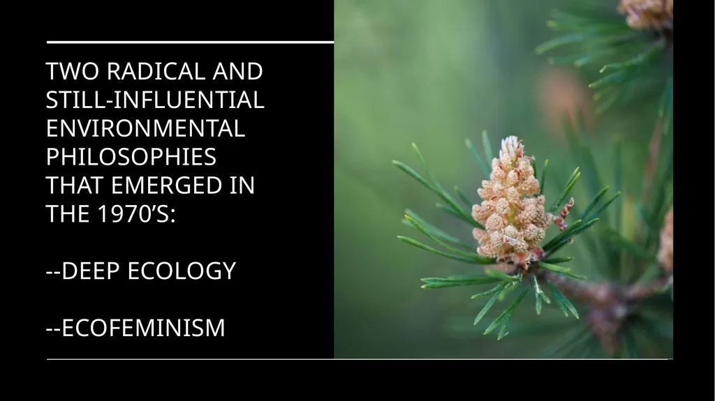 Chapter 6 Deep Ecology and Ecofeminism Two radical - slide 2 of 65