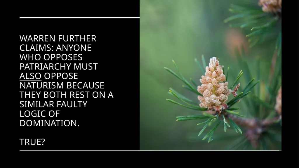 Chapter 6 Deep Ecology and Ecofeminism Two radical - slide 62 of 65