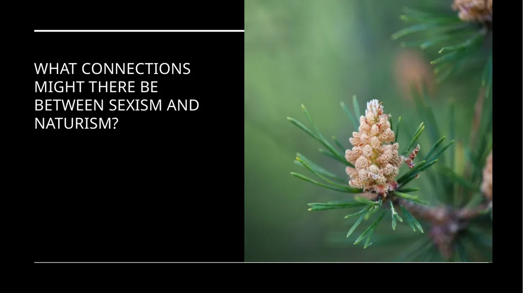 Chapter 6 Deep Ecology and Ecofeminism Two radical - slide 41 of 65