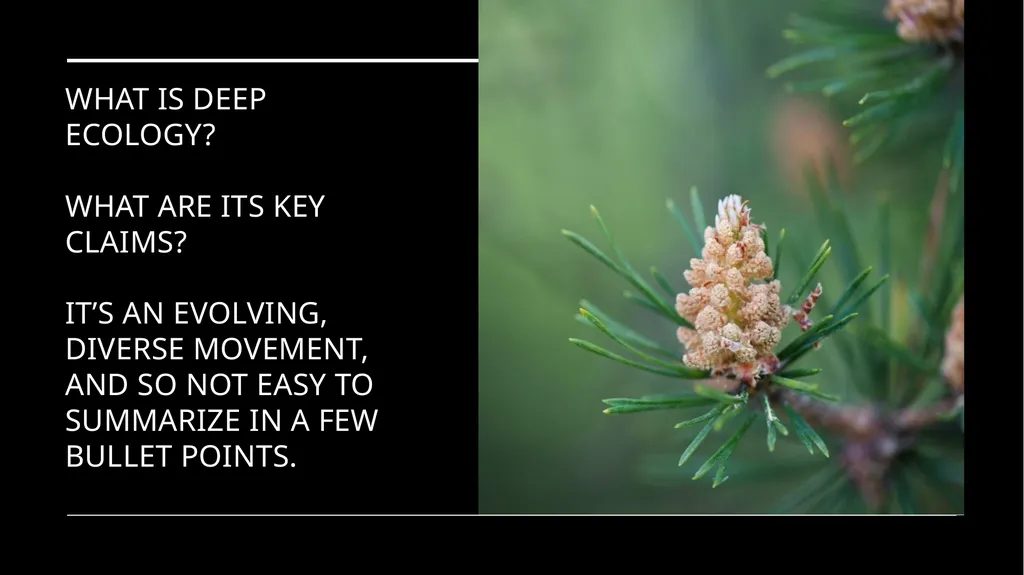 Chapter 6 Deep Ecology and Ecofeminism Two radical - slide 16 of 65