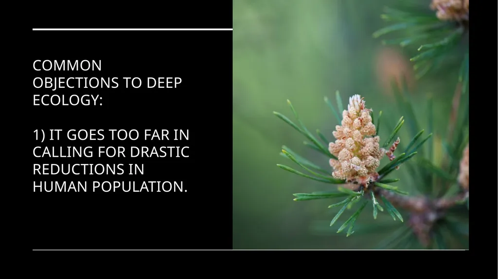 Chapter 6 Deep Ecology and Ecofeminism Two radical - slide 35 of 65