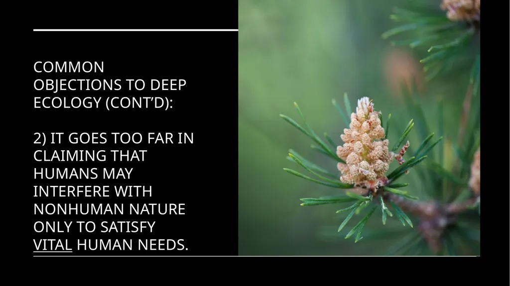 Chapter 6 Deep Ecology and Ecofeminism Two radical - slide 36 of 65