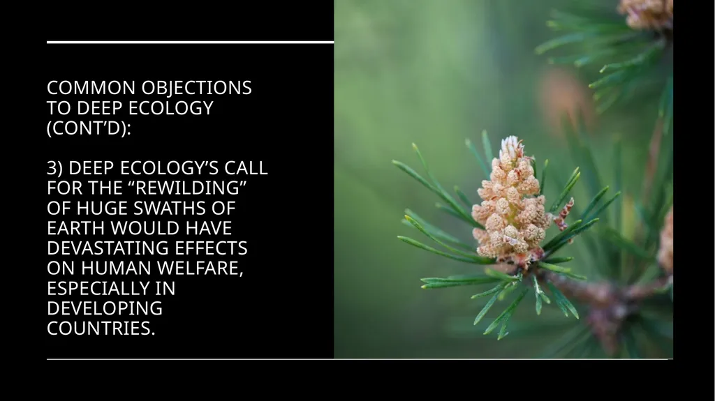 Chapter 6 Deep Ecology and Ecofeminism Two radical - slide 37 of 65