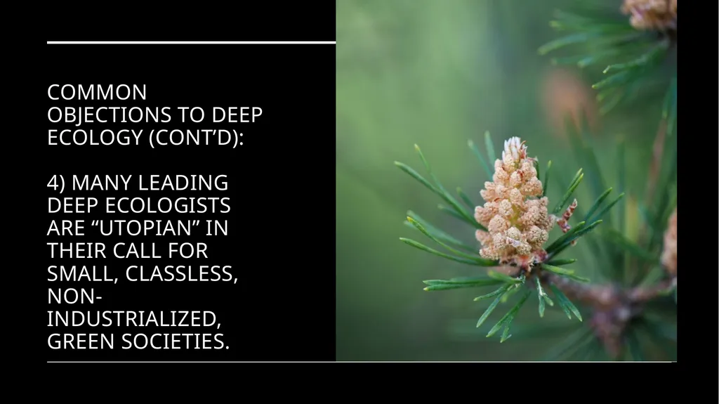 Chapter 6 Deep Ecology and Ecofeminism Two radical - slide 38 of 65