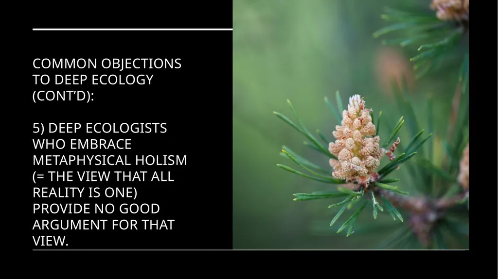 Chapter 6 Deep Ecology and Ecofeminism Two radical - slide 39 of 65