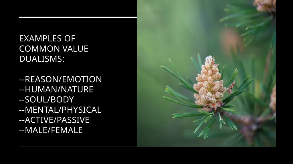 Chapter 6 Deep Ecology and Ecofeminism Two radical - slide 52 of 65