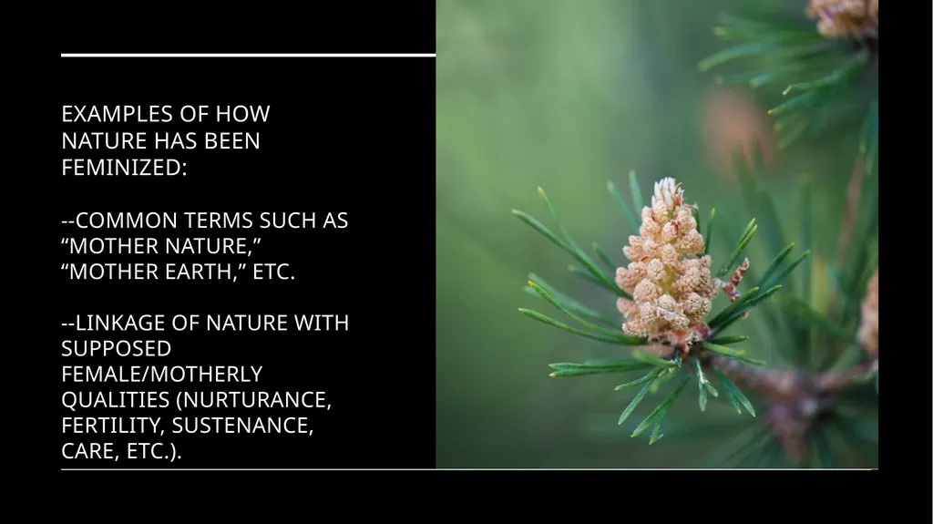 Chapter 6 Deep Ecology and Ecofeminism Two radical - slide 45 of 65