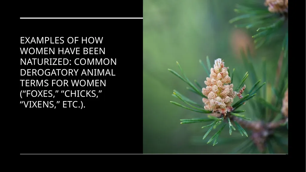 Chapter 6 Deep Ecology and Ecofeminism Two radical - slide 44 of 65
