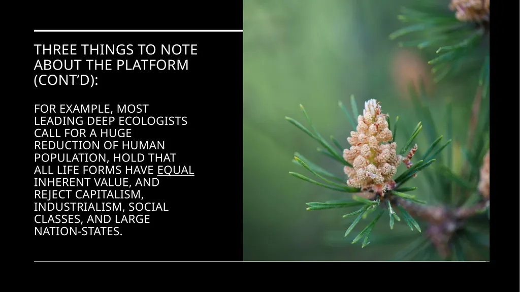 Chapter 6 Deep Ecology and Ecofeminism Two radical - slide 30 of 65