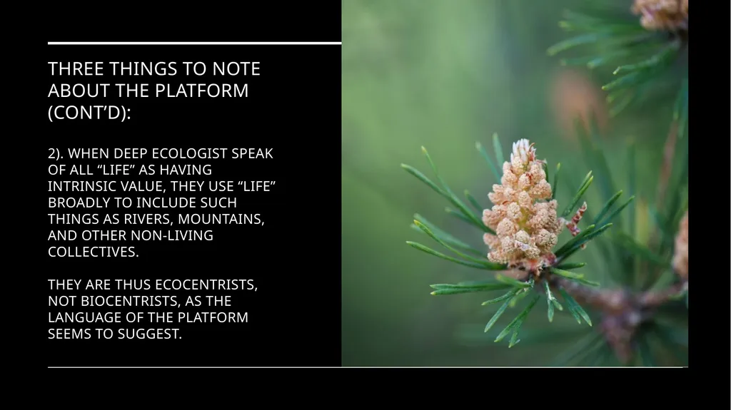 Chapter 6 Deep Ecology and Ecofeminism Two radical - slide 31 of 65