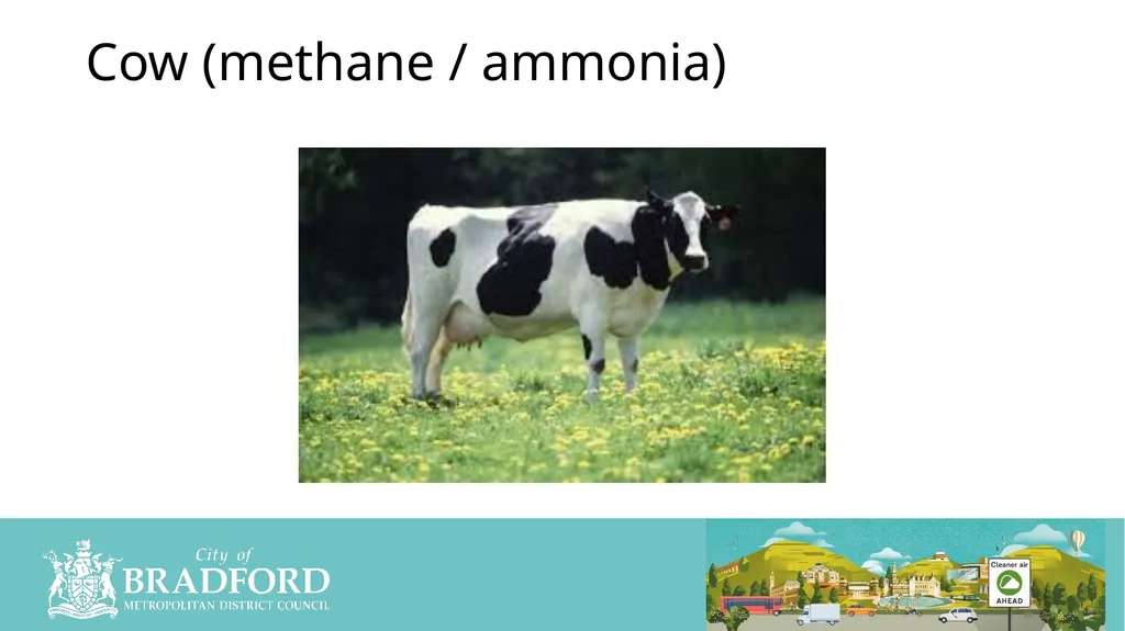 What Causes Pollution Yes /No/Unsure Clean Air - slide 7 of 23