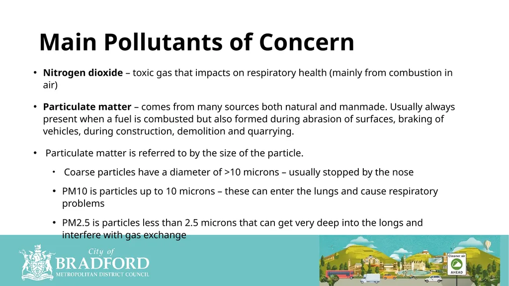 What Causes Pollution Yes /No/Unsure Clean Air - slide 2 of 23