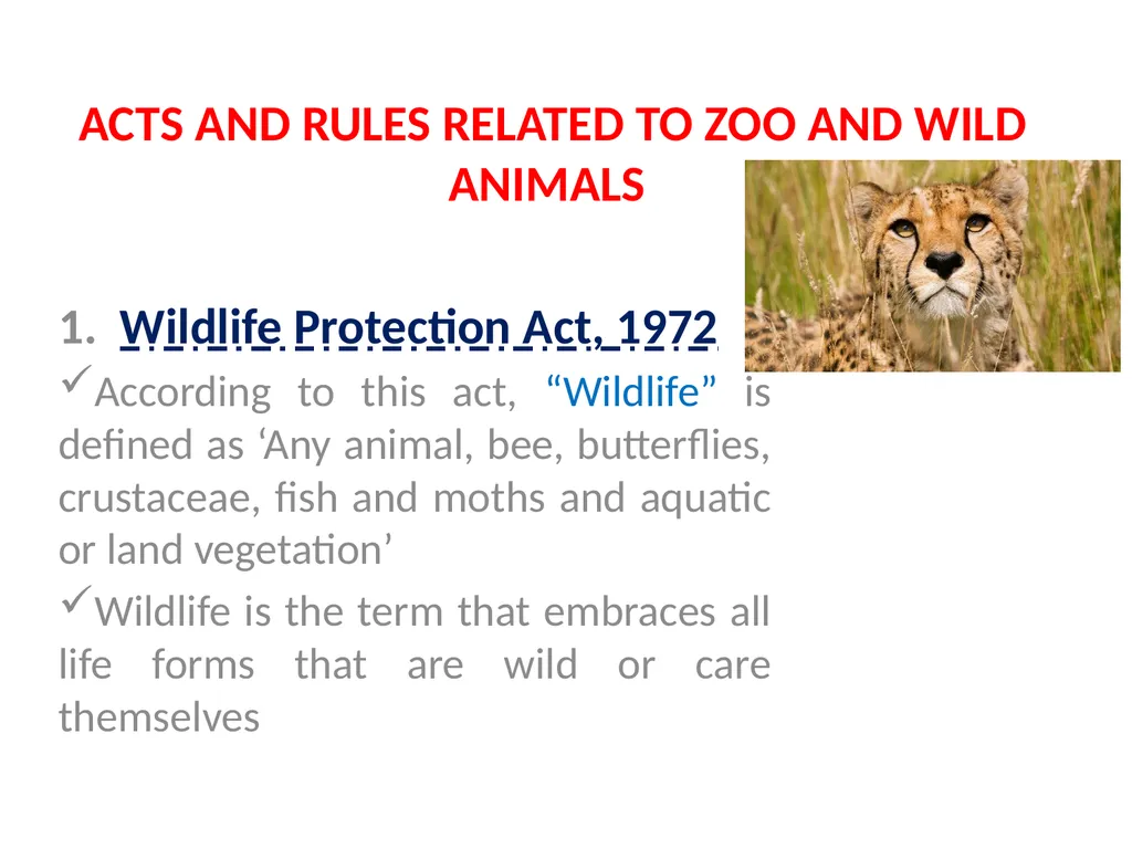 ACTS AND RULES RELATED TO ZOO AND WILD ANIMALS Dr - slide 4 of 18