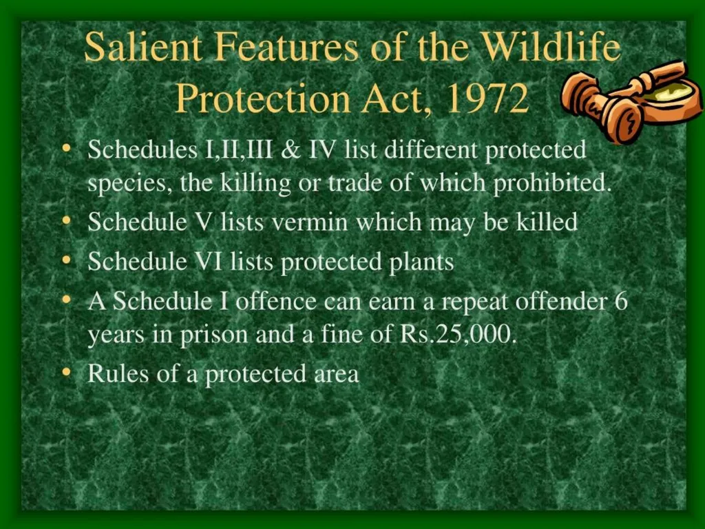 ACTS AND RULES RELATED TO ZOO AND WILD ANIMALS Dr - slide 13 of 18