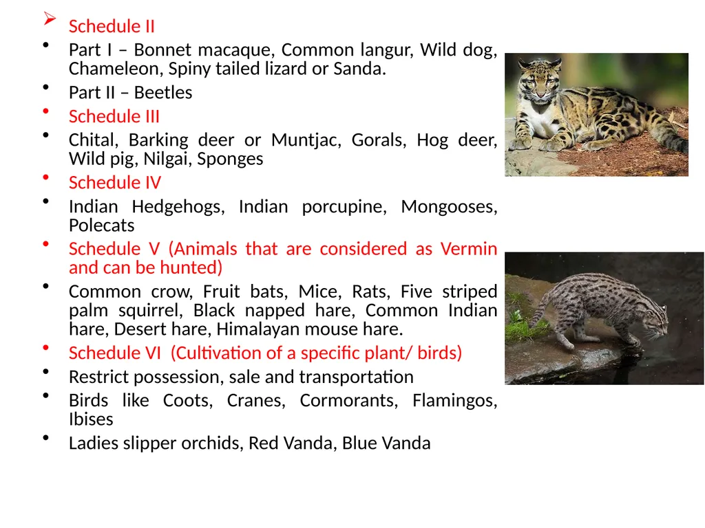 ACTS AND RULES RELATED TO ZOO AND WILD ANIMALS Dr - slide 12 of 18