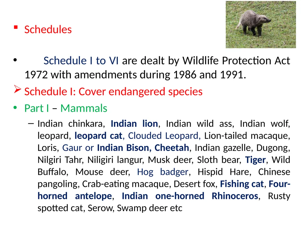 ACTS AND RULES RELATED TO ZOO AND WILD ANIMALS Dr - slide 11 of 18