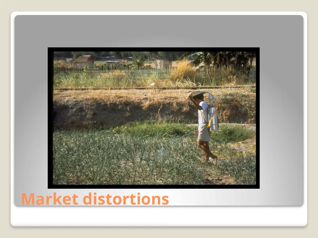 Classification of Resources Natural resources - slide 20 of 30