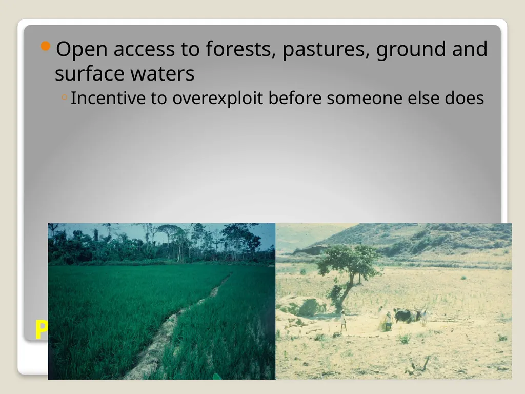 Classification of Resources Natural resources - slide 18 of 30