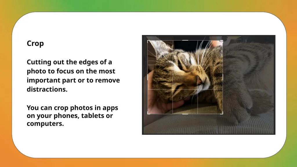Curriculum links - Photography, Creative Arts, - slide 8 of 21