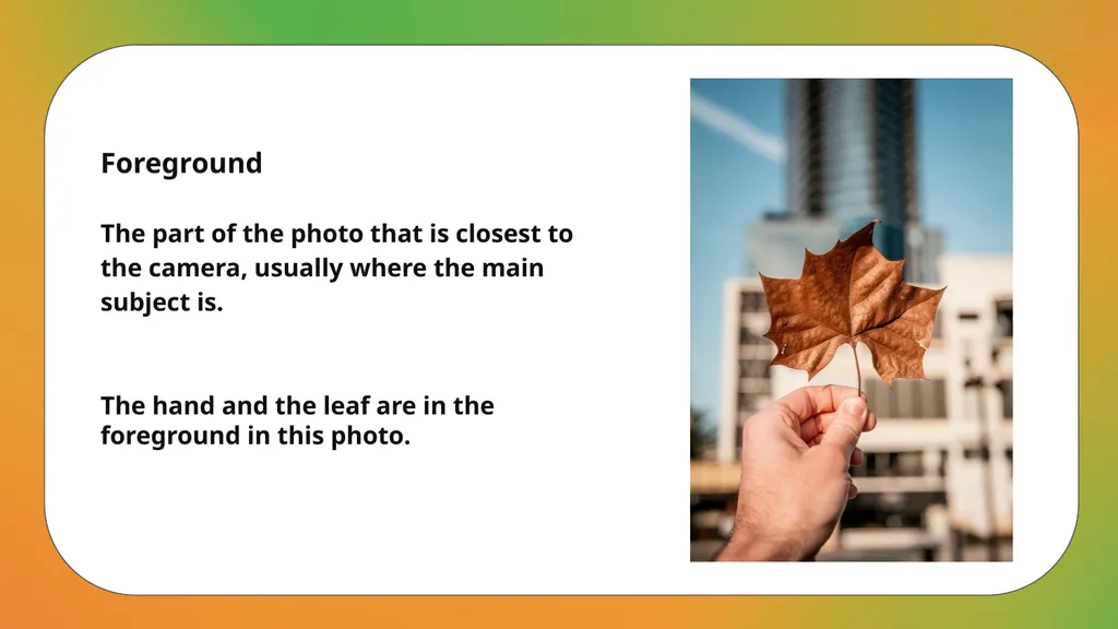 Curriculum links - Photography, Creative Arts, - slide 14 of 21