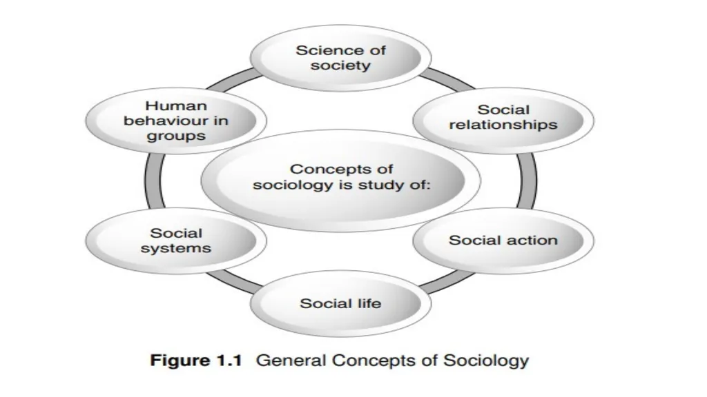 Introduction to sociology Lecture 1 Prof. - slide 8 of 23