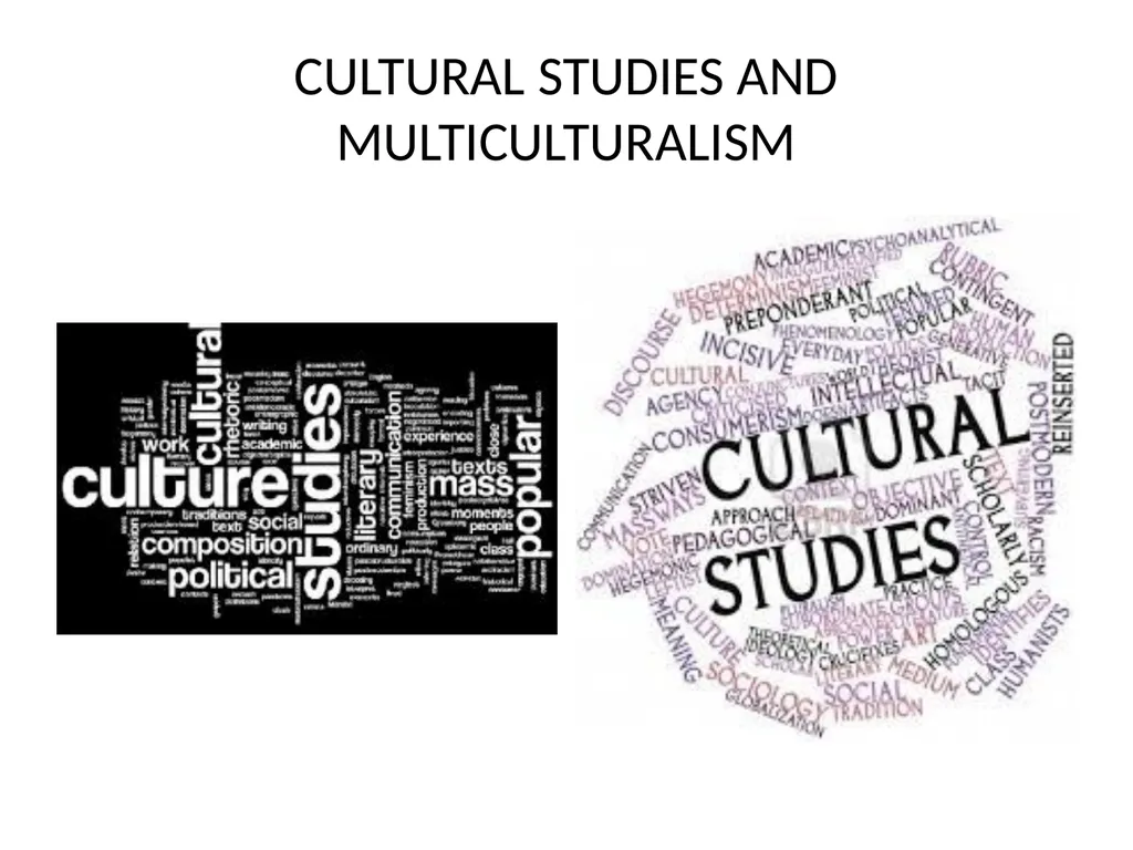 CULTURAL STUDIES AND MULTICULTURALISM CULTURAL