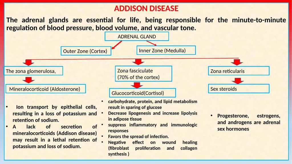 Canine Hypoadrenocorticism (Addison Disease) Unit: - slide 2 of 12