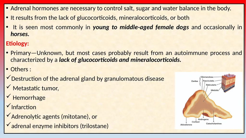 Canine Hypoadrenocorticism (Addison Disease) Unit: - slide 3 of 12