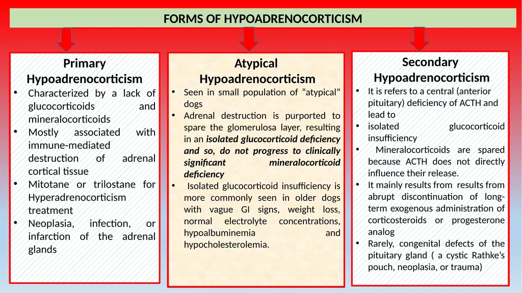Canine Hypoadrenocorticism (Addison Disease) Unit: - slide 4 of 12