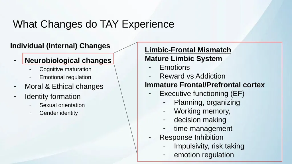 ADHD in Transitional Age Youth Developed by: - slide 5 of 61
