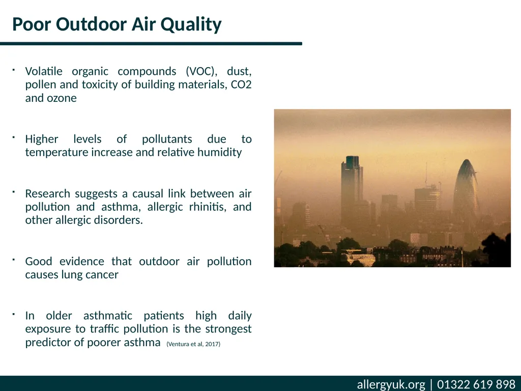 The Air We Breathe What Poor Air Quality means for - slide 6 of 19