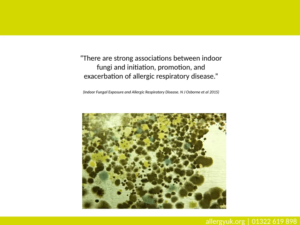 The Air We Breathe What Poor Air Quality means for - slide 10 of 19