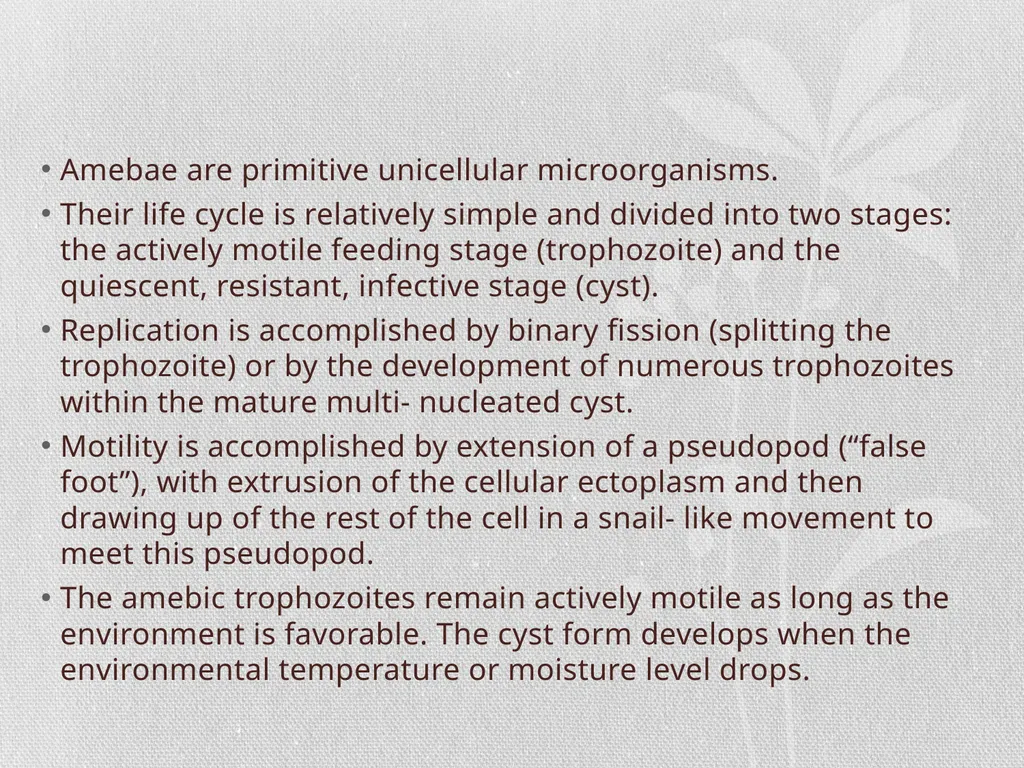 Entamoeba histolytica MIC 25 Amebae are primitive - slide 2 of 14