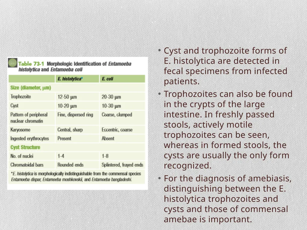 Entamoeba histolytica MIC 25 Amebae are primitive - slide 3 of 14