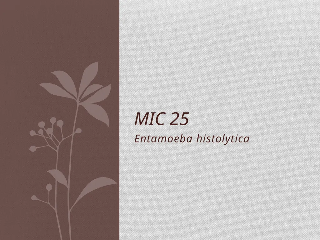 Entamoeba histolytica MIC 25 Amebae are primitive - slide 1 of 14