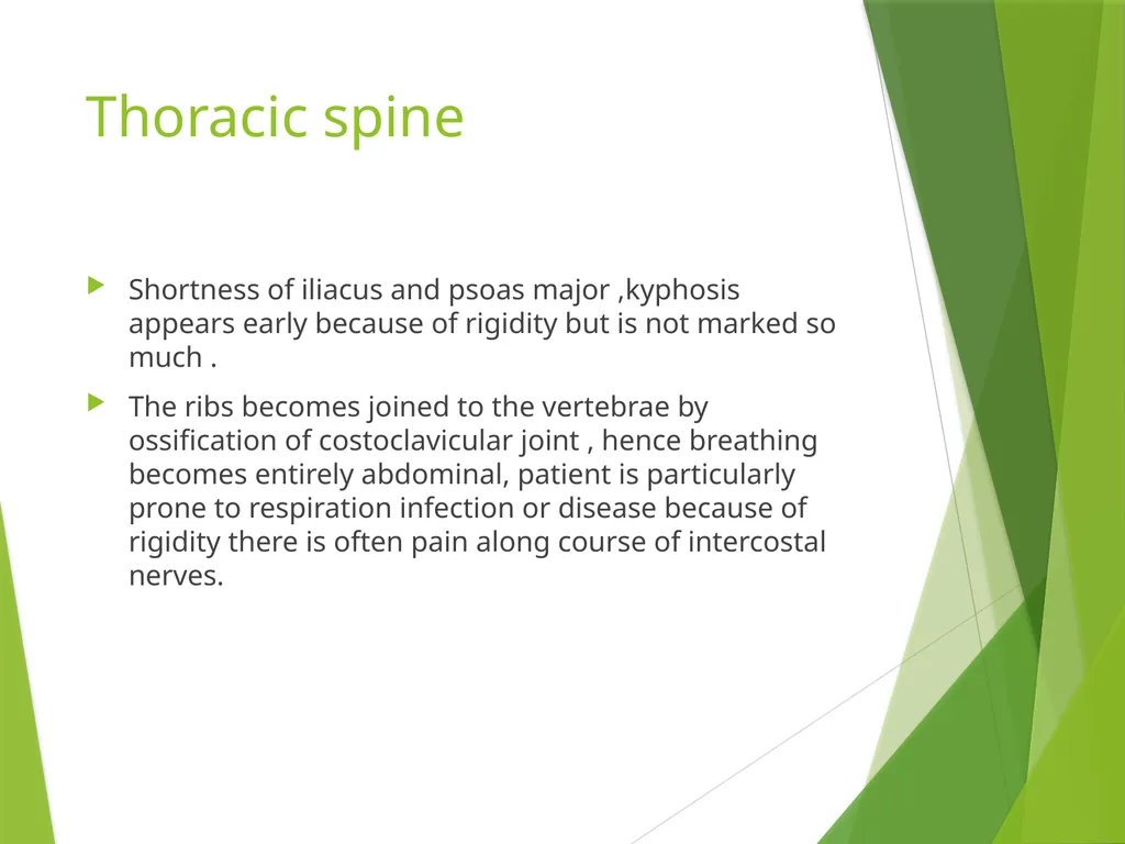 Ankylosing Spondylitis Pathology Ankylosing - slide 9 of 25