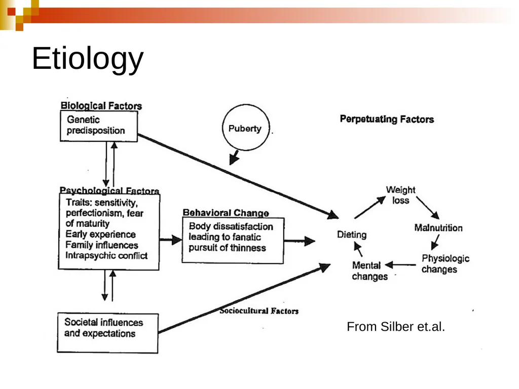 Eating Disorders 21 November 2013 Krissy Schwerin, - slide 12 of 46