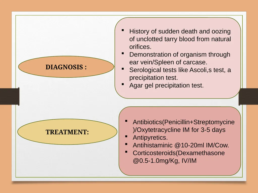ANTHRAX UNIT-5 Dr. Anil Kumar Asst. Professor - slide 5 of 6