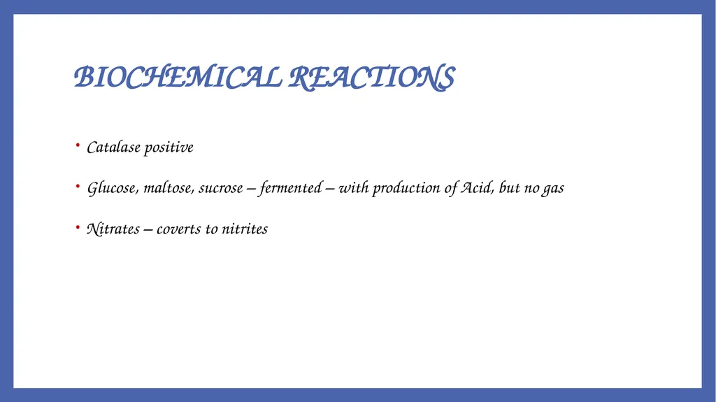 Bacillus anthracis Dr. Priyanka Chaturvedi - slide 23 of 28