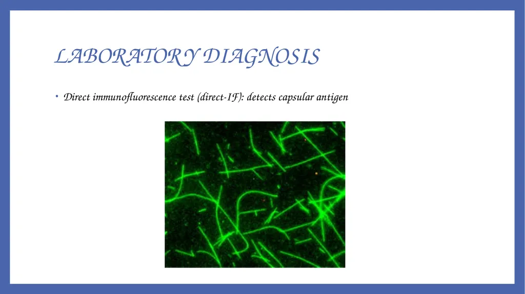 Bacillus anthracis Dr. Priyanka Chaturvedi - slide 16 of 28