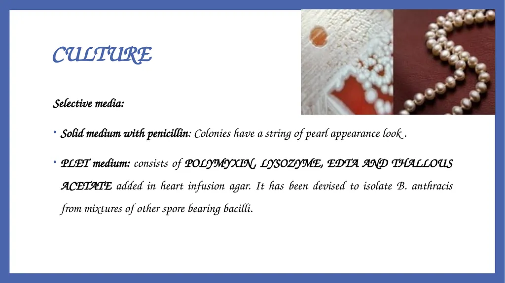 Bacillus anthracis Dr. Priyanka Chaturvedi - slide 22 of 28