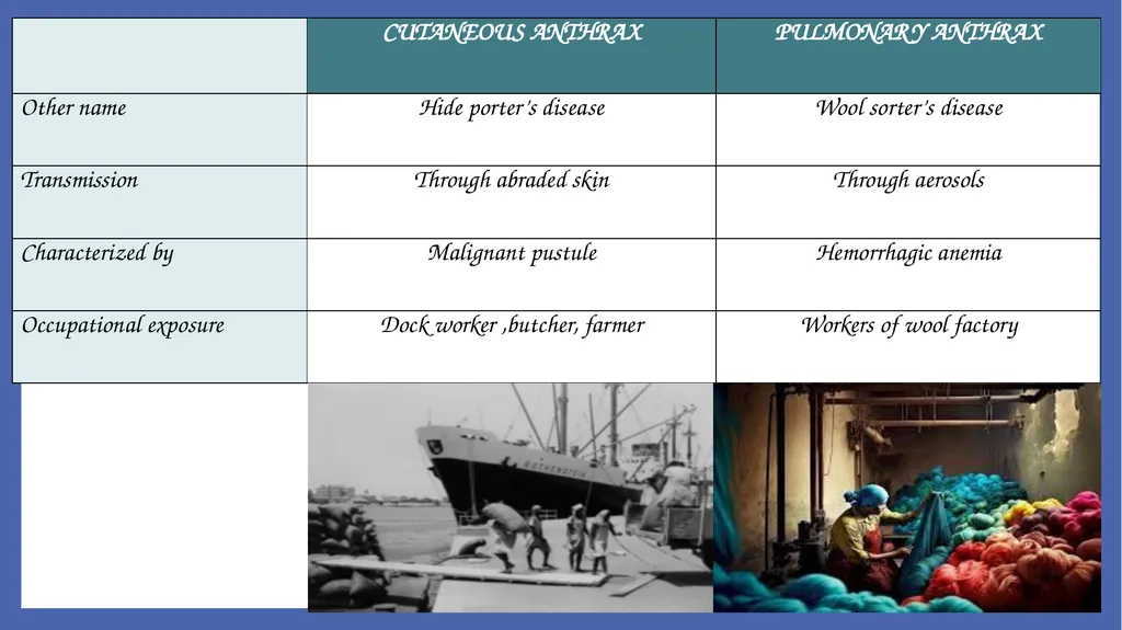 Bacillus anthracis Dr. Priyanka Chaturvedi - slide 9 of 28