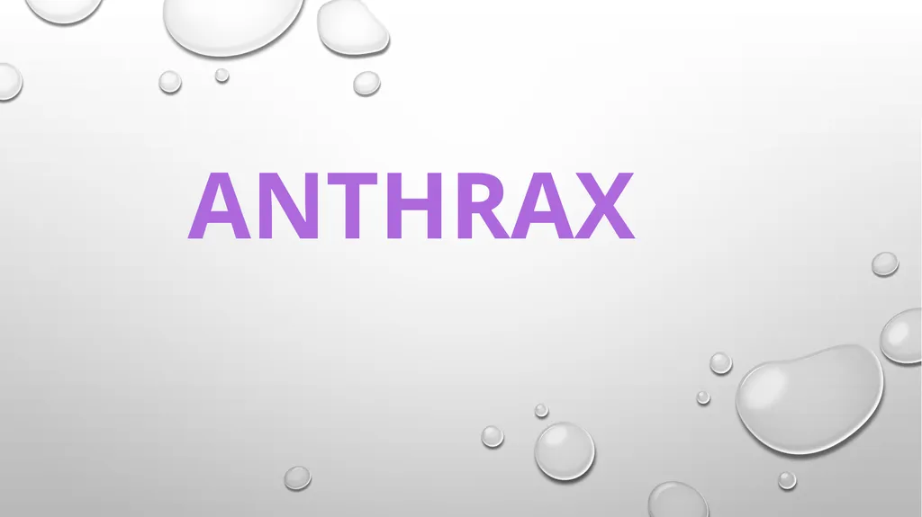 ÖRNEK SUNU-7 ANTHRAX What is anthrax? Is anthrax - slide 2 of 12