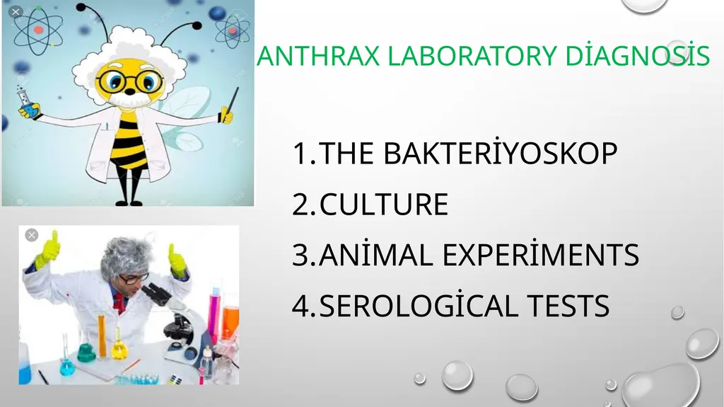 ÖRNEK SUNU-7 ANTHRAX What is anthrax? Is anthrax - slide 10 of 12