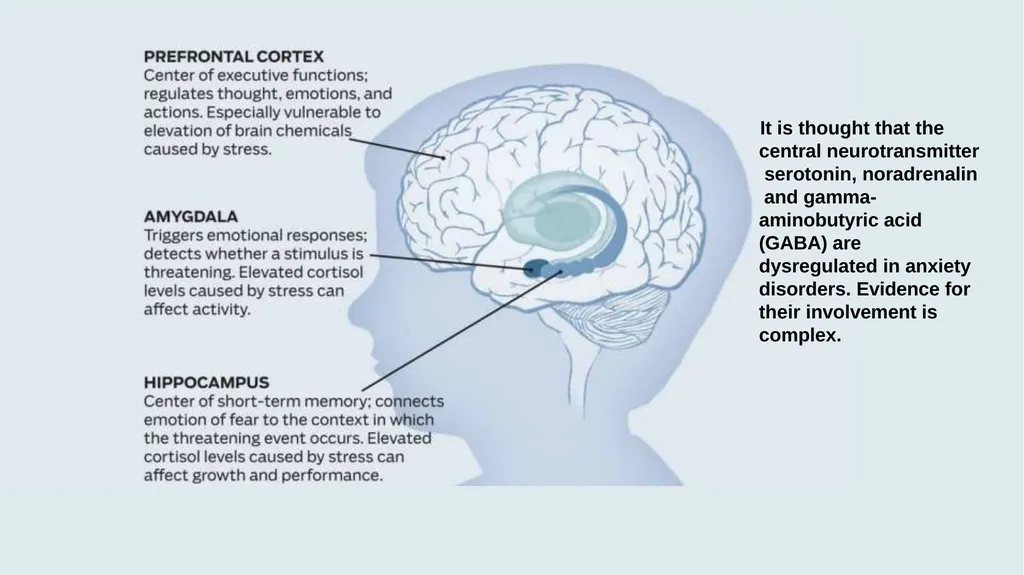 ANXIETY DISORDER BY Dr Arpit Jaiswal Assistant - slide 7 of 28