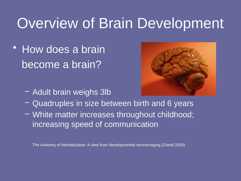Personality Disorders Dr Andrea Williams - slide 35 of 54